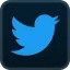 twitter-plural
